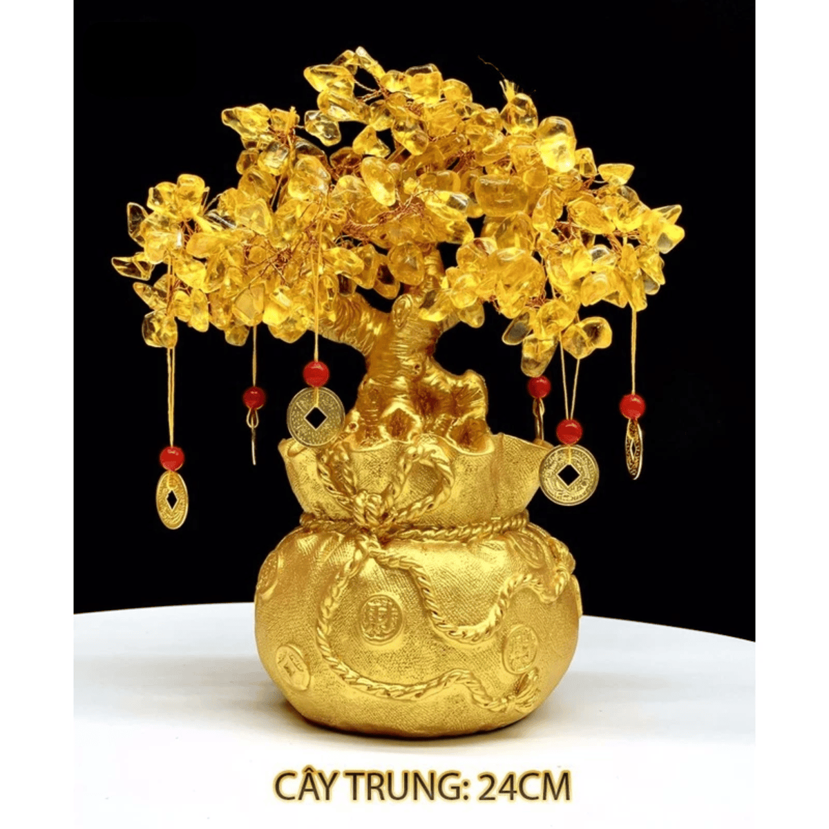 Cây Kim Tiền Phong Thủy Phát Lộc Trang Trí Tết 2026