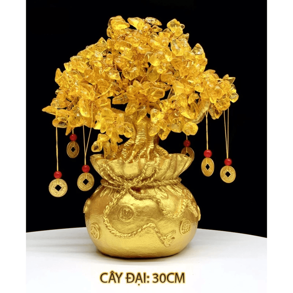 Cây Kim Tiền Phong Thủy Phát Lộc Trang Trí Tết 2026