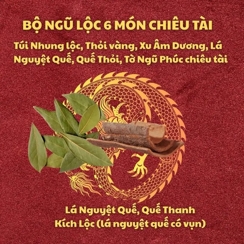 BỘ NGŨ LỘC 6 MÓN Chiêu Tài Phong Thủy. Túi Nhung Lộc, Thỏi Vàng, Xu Âm Dương, Lá + Vỏ Quế, Tờ Ngũ Phúc Chiêu Tài