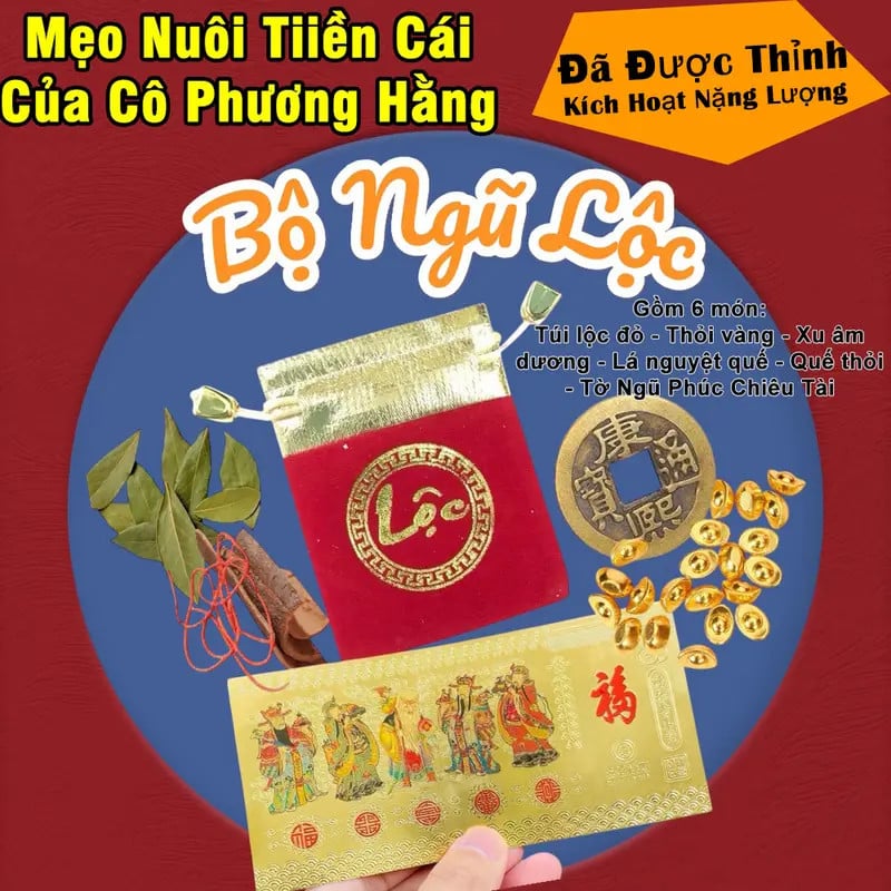 BỘ NGŨ LỘC 6 MÓN Chiêu Tài Phong Thủy. Túi Nhung Lộc, Thỏi Vàng, Xu Âm Dương, Lá + Vỏ Quế, Tờ Ngũ Phúc Chiêu Tài