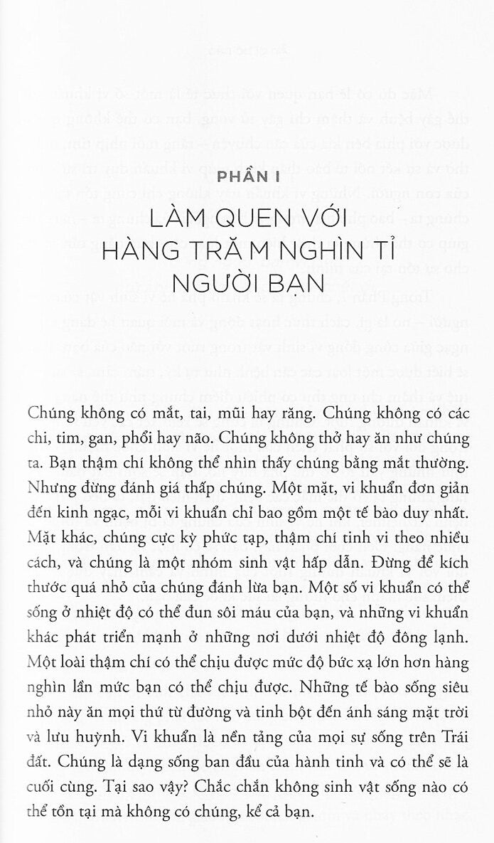 Ăn Gì Bổ Não