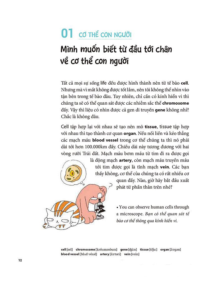 Tôi Muôn Giỏi Tiếng Anh Nhưng Tôi Không Muốn Chăm Chỉ