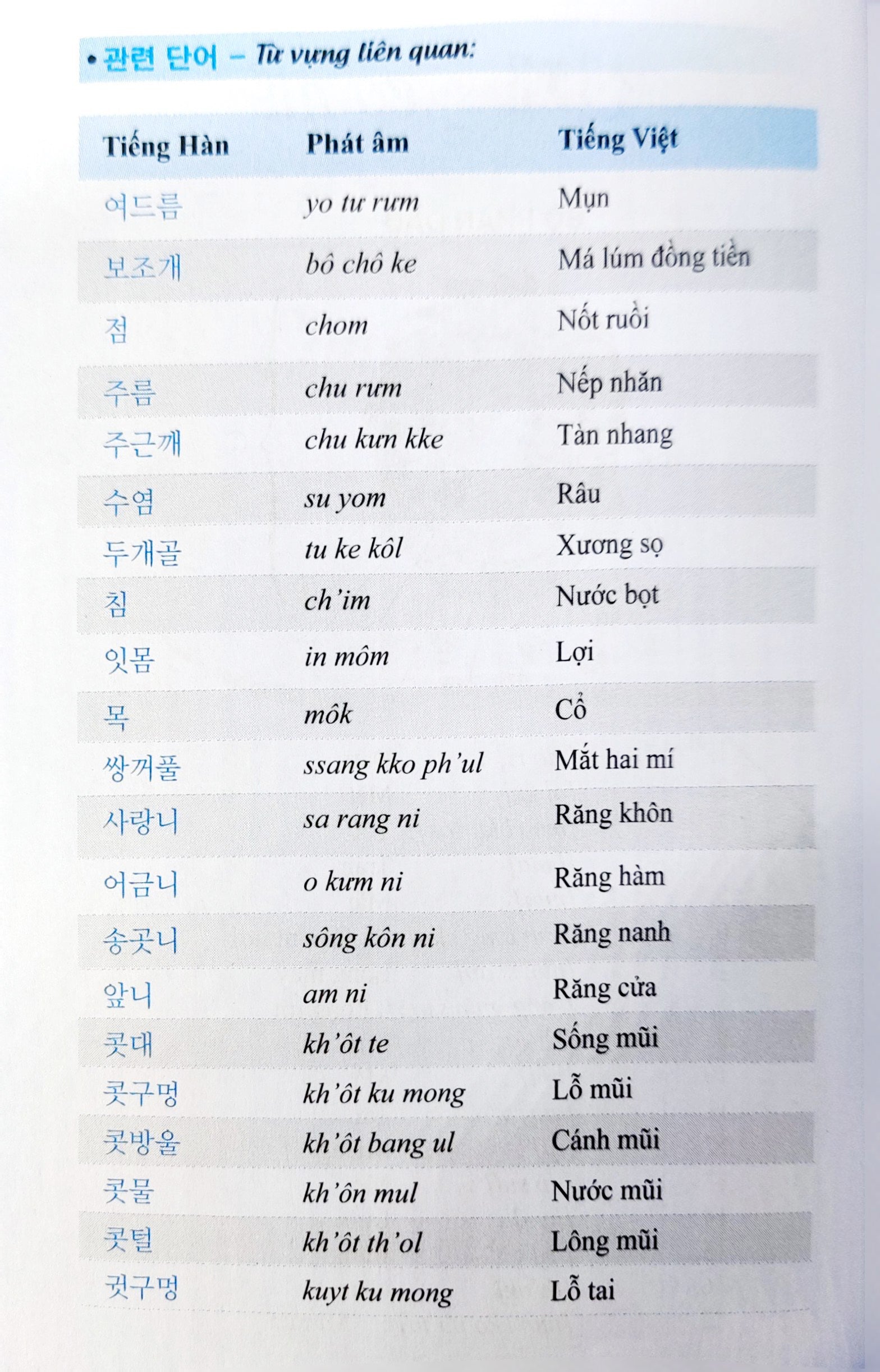 3000 Từ Vựng Tiếng Hàn Theo Chủ Đề