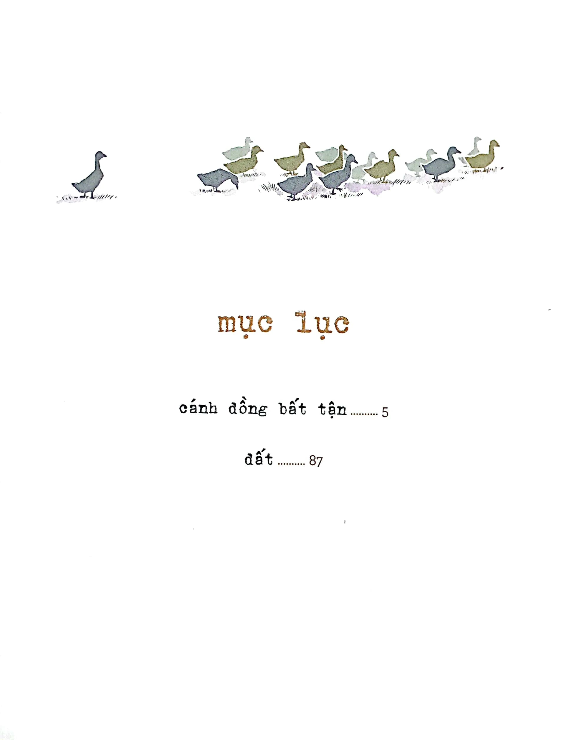 Cánh đồng bất tận