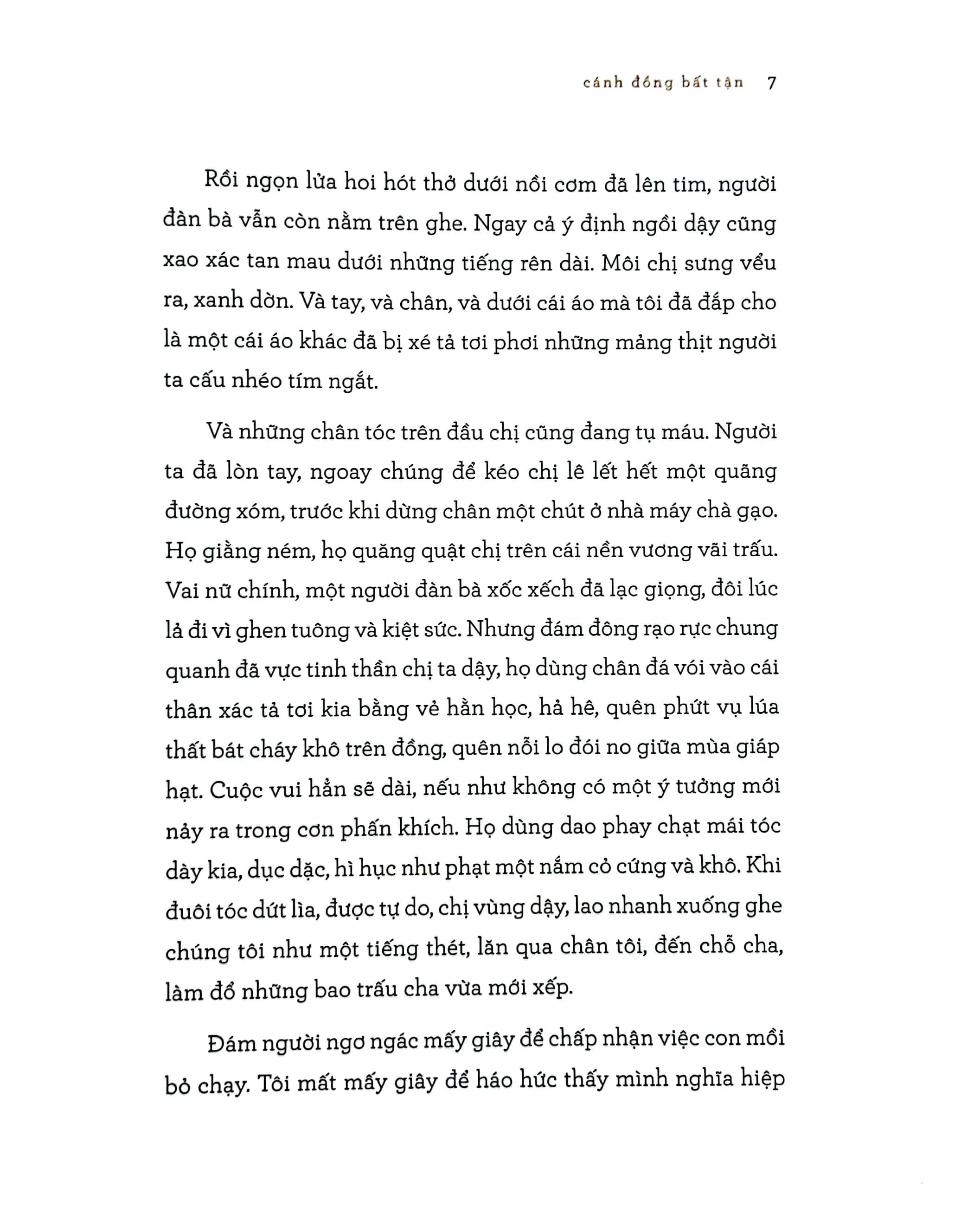 Cánh đồng bất tận