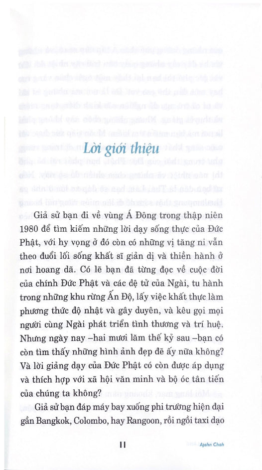 Tâm Tĩnh Lặng