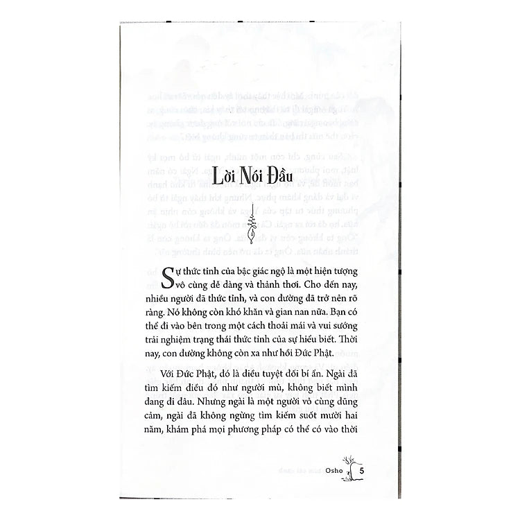 Osho  - Như Chim Sải Cánh