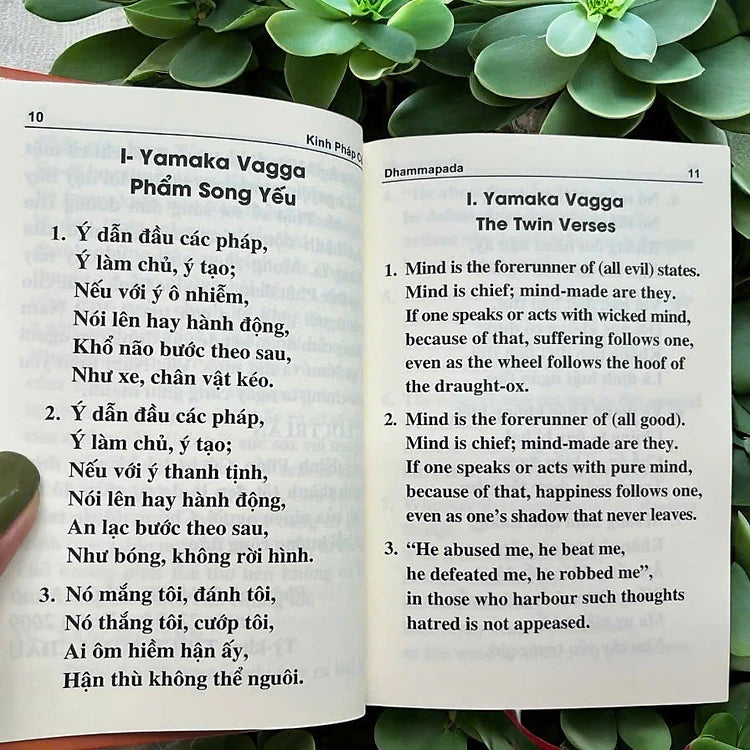 Kinh Pháp Cú Mini Song Ngữ Anh - Việt