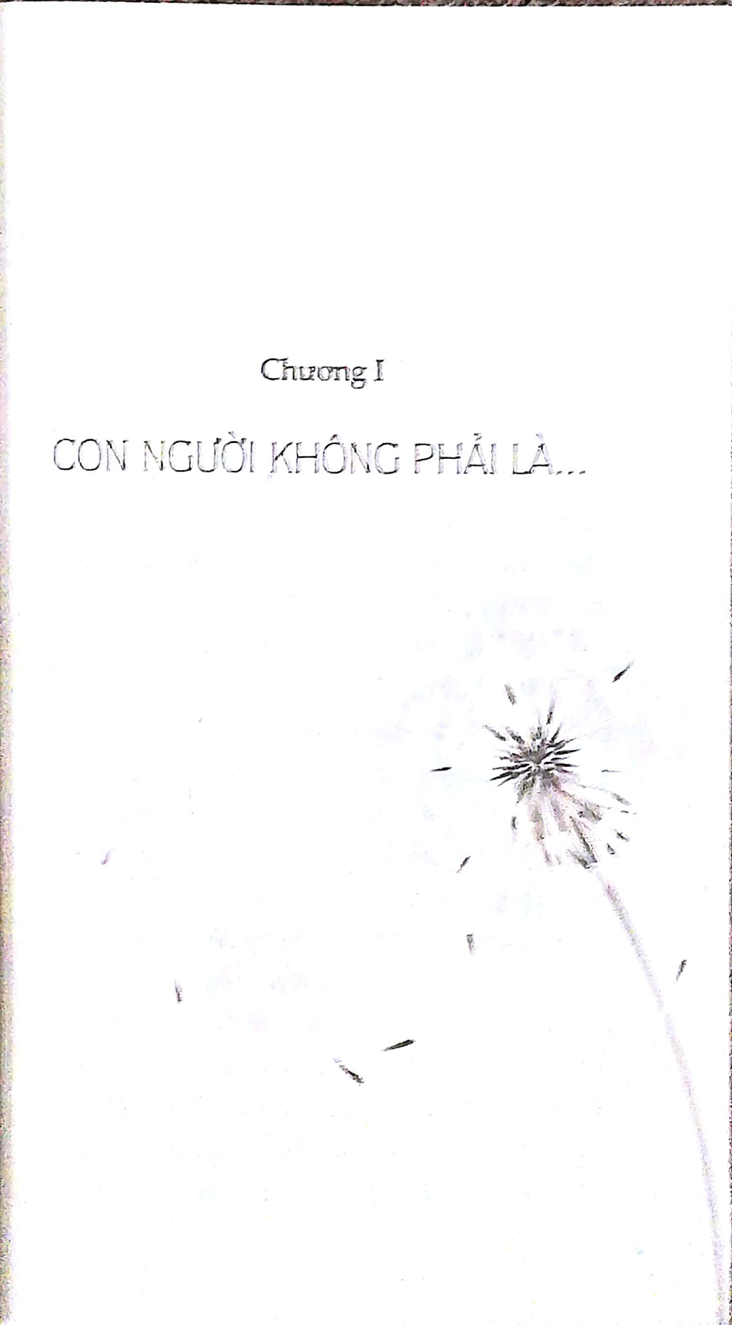 Biết Chính Mình
