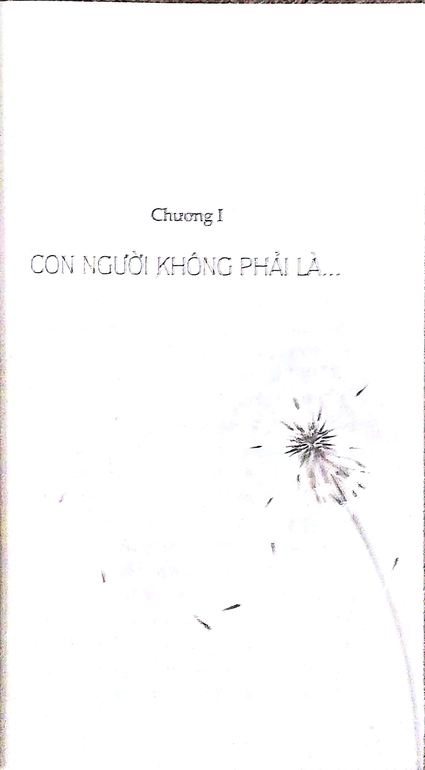 Biết Chính Mình