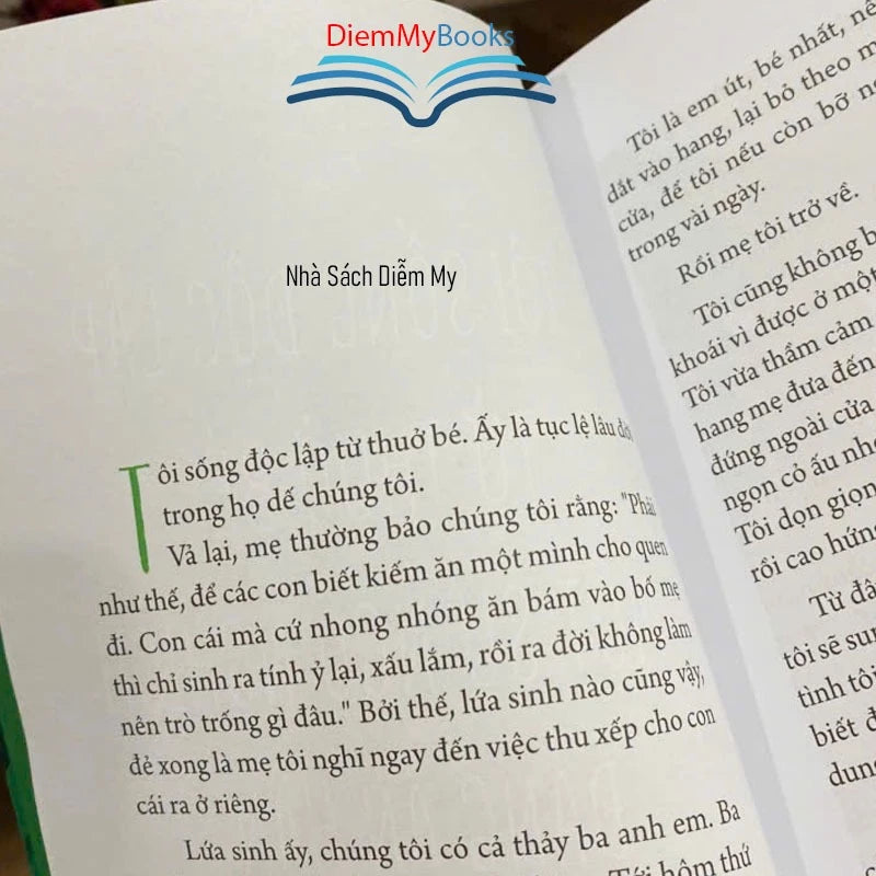 Dế Mèn Phiêu Lưu Ký (Bìa mềm)